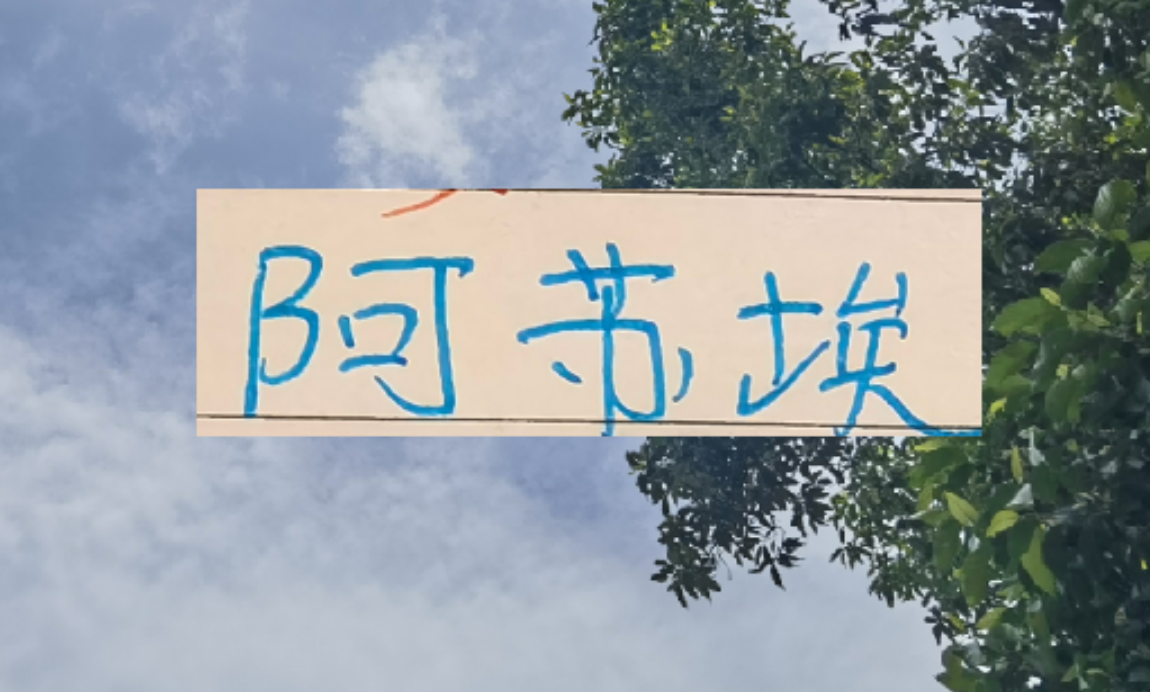 乐鱼体育娱乐-还差一个外援！到时候是阿苏埃出现 还是申花新的大鱼上岸？